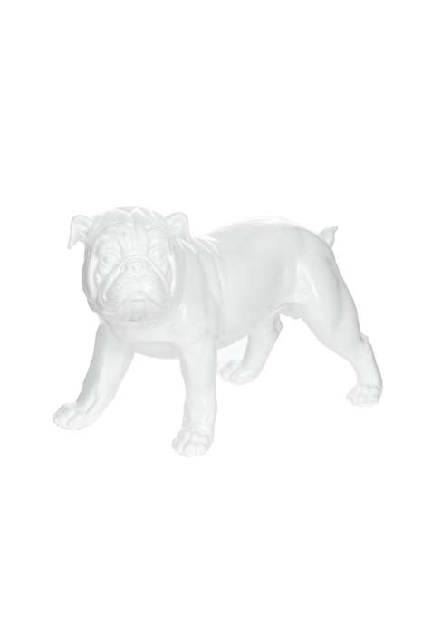 Sculptuur Bulldog 21-J wit