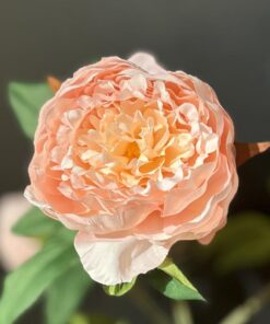 PEONY SPRAY pink