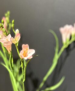 FREESIA X3 SPRAY 65CM PINK