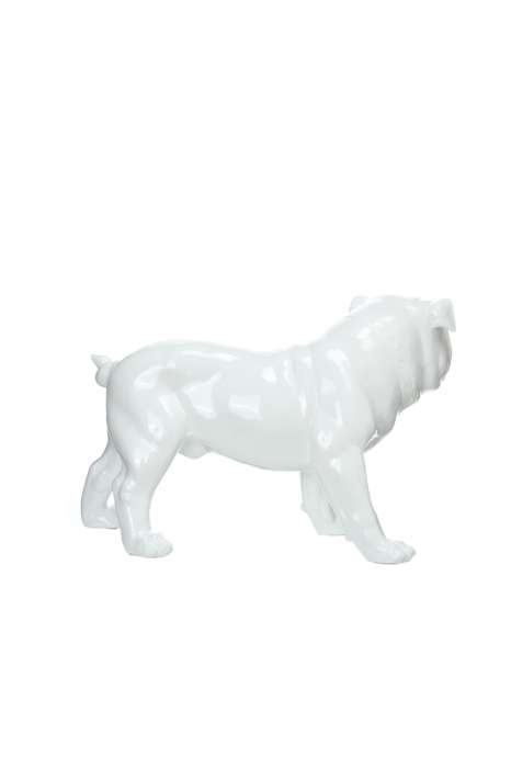 Sculptuur Bulldog 21-J wit - Afbeelding 4