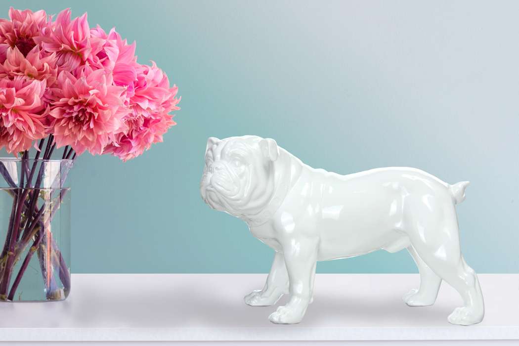 Sculptuur Bulldog 21-J wit - Afbeelding 2