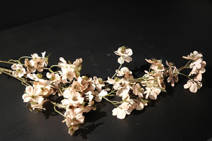 Tak Kersenbloesem 120 beige - Afbeelding 2