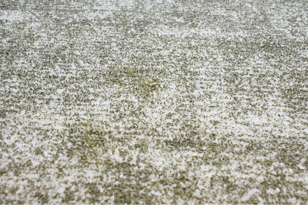 Etna 110 zilver/olijfgroen 160x230cm - Afbeelding 3