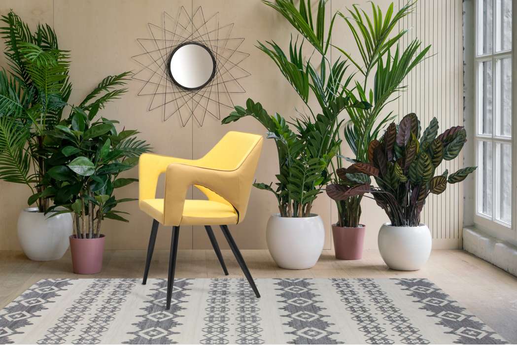 Chair Palina Yellow - Afbeelding 2