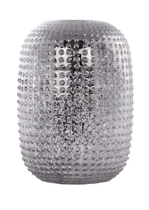 Vaas Agave 180 zilver glas