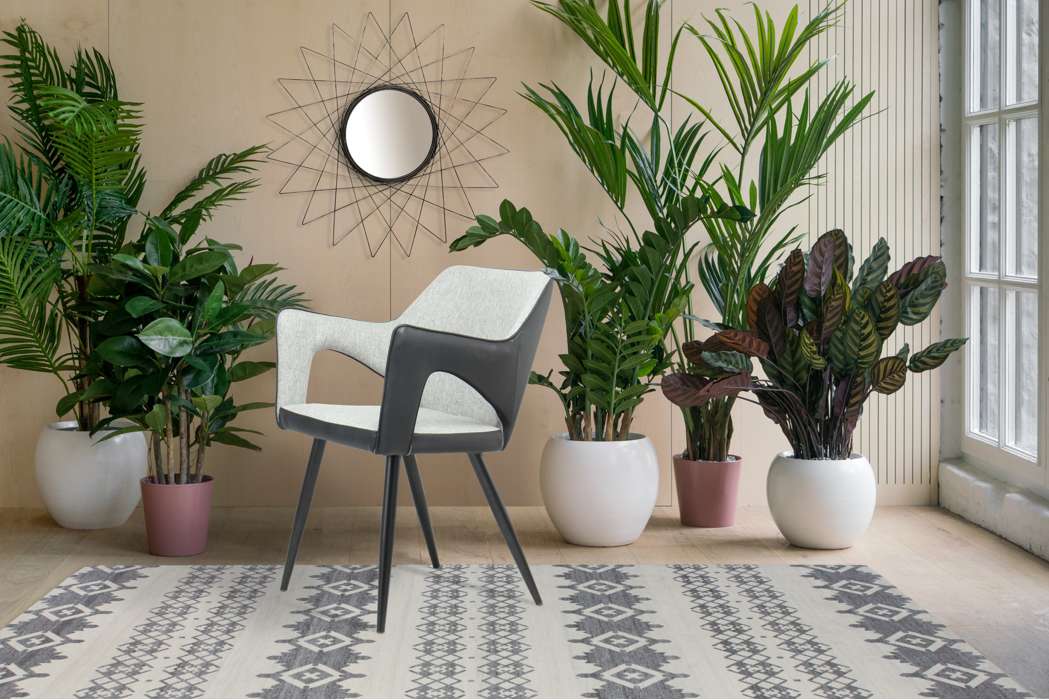 Chair Palina grey - Afbeelding 2