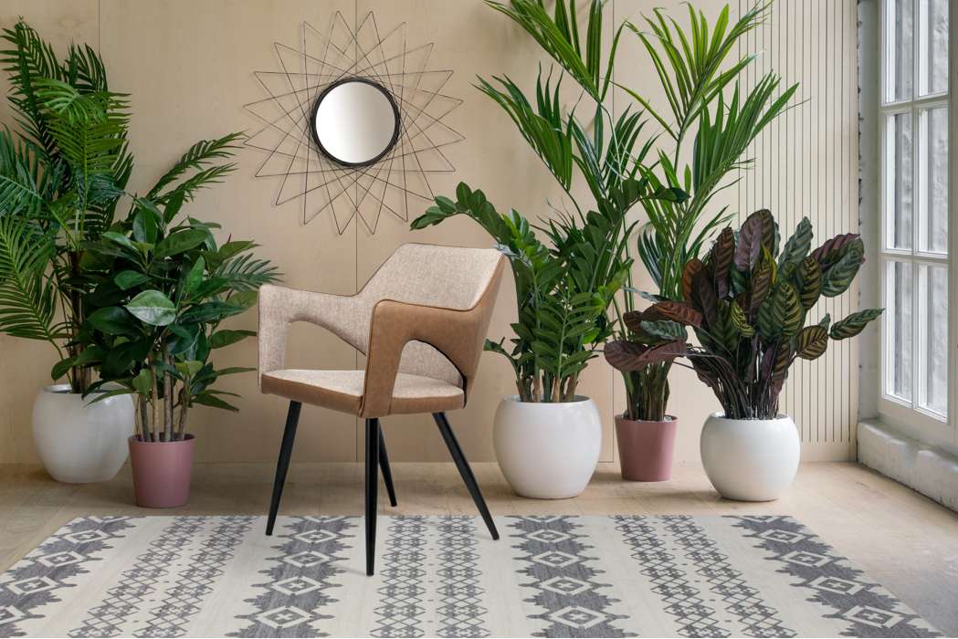 Chair Palina Beige - Afbeelding 2