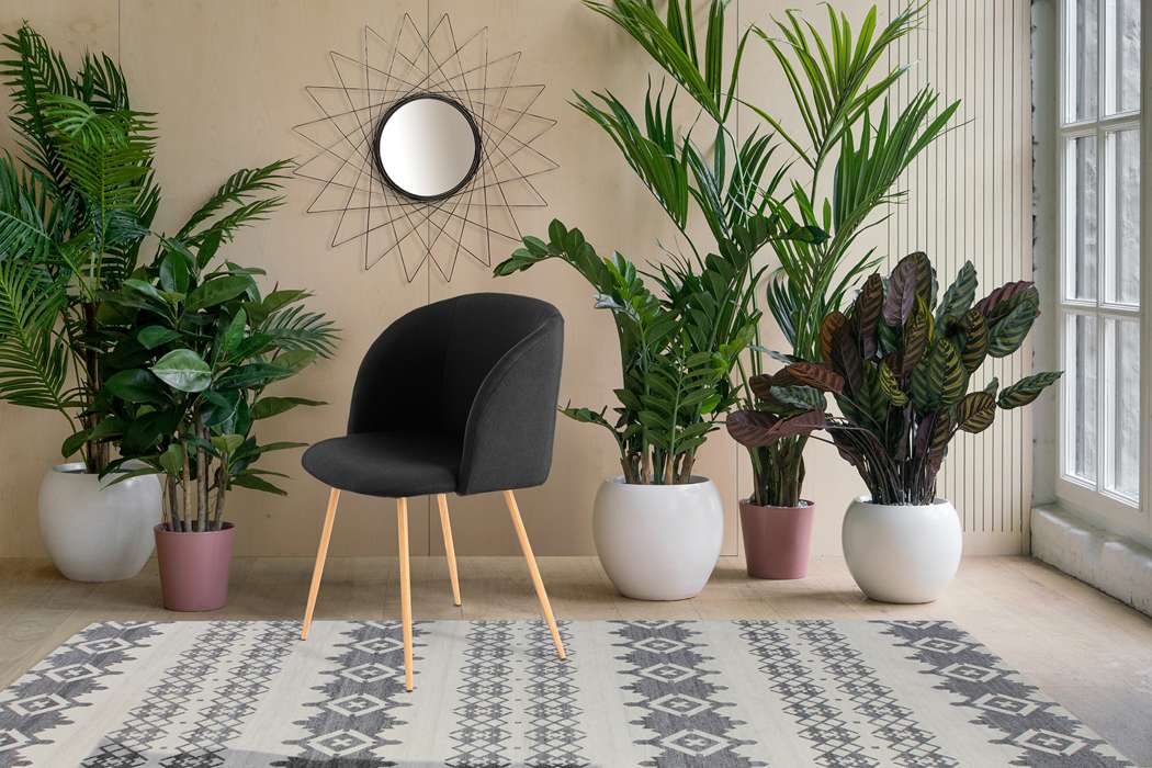 Chair Celina 210 set of 2 black - Afbeelding 2