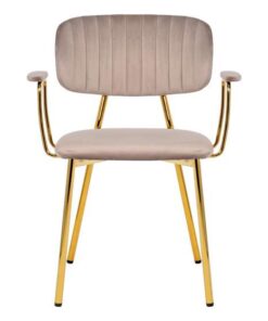 Chair Kian 225 set of 2 taupe