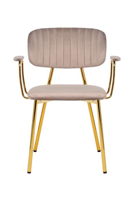 Chair Kian 225 set of 2 taupe