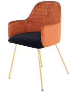 Stoel Richard 525 Terra / bruin / zwart