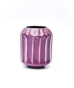 Vaas Walla 210 purper